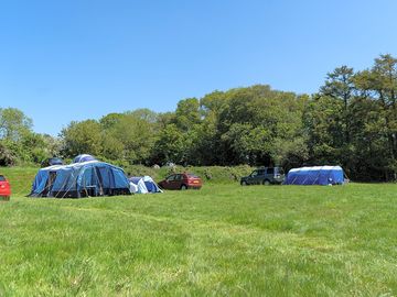 Chestnut and larch pitches for large tents (added by manager 24 jul 2021)