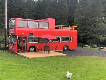 Stay in a converted bus (added by manager 09 mar 2023)