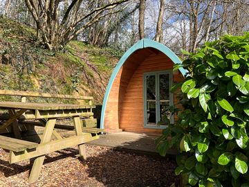 Secluded pod surrounded by greenery (added by manager 07 mar 2024)