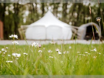 Bell tent (added by manager 07 jun 2023)