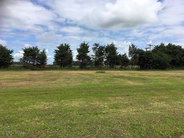 Peaceful pitch surrounded by trees and grass bank (added by manager 22 jul 2020)