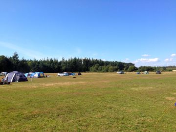 Paddock with hethfelton forest behind (added by manager 10 aug 2015)