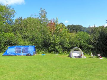 Grass pitches (added by manager 28 jul 2019)
