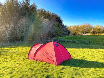 Spacious dog-friendly camping pitch (added by manager 28 sep 2022)