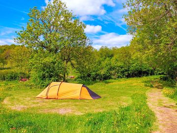 Meadow camping (added by manager 23 sep 2022)