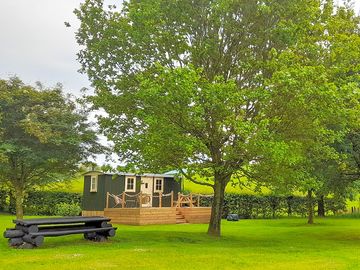 Visitor image of the meadow and shepherds hut (added by manager 09 sep 2022)