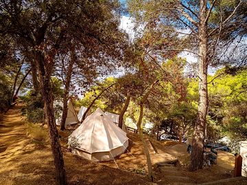 Bell tent tucked under trees (added by manager 30 jan 2024)