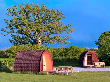 Camping pods next to the trees (added by manager 10 jul 2018)