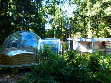 Clear dome in the woods (added by manager 31 mar 2017)