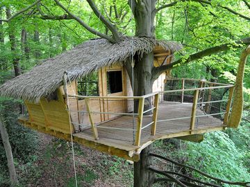 Exterior view of the treehouse and terrace (added by manager 26 jul 2017)