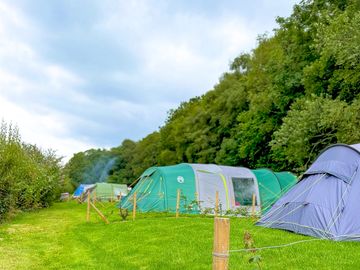 Grassy tent pitches (added by manager 26 oct 2022)