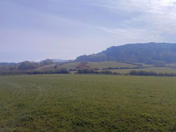 Views over the fields (added by manager 06 jun 2022)