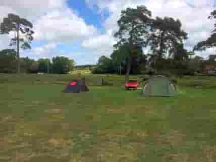 Grass pitches (added by campingpondheadcouk 05 Aug 2020)
