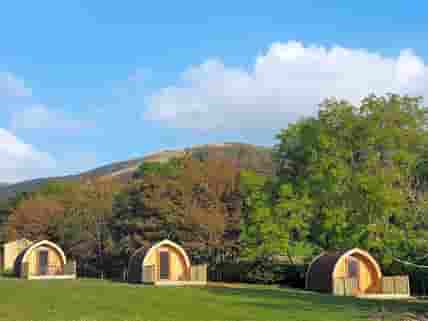 Glorious Glamping on our small secluded site (added by manager 15 Nov 2016)