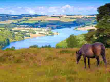 Explore the Exmoor National Park (added by manager 01 Jun 2016)