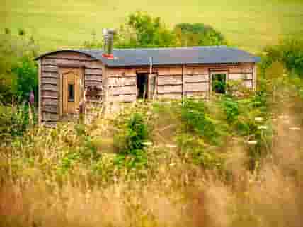 Shepherd's hut in summer