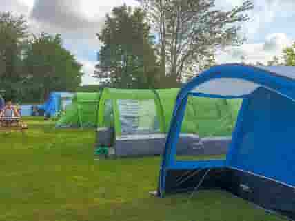 Adults-only electric tent pitch