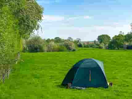 tent pitch