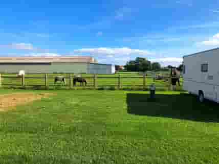 Working equestrian yard