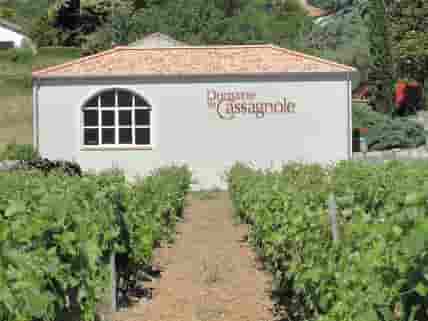 Situated in the grounds of the Domaine de Cassagnole vineyard (added by manager 29 Jun 2014)