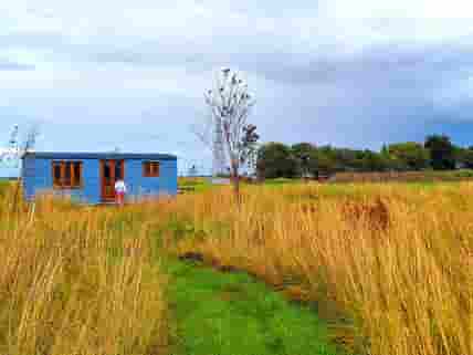 The Shepherd's huts nestled in the meadow