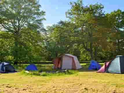Quiet rural camping just 12 miles from central London