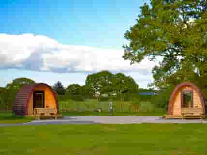 Camping pods under the trees (added by manager 04 Aug 2022)
