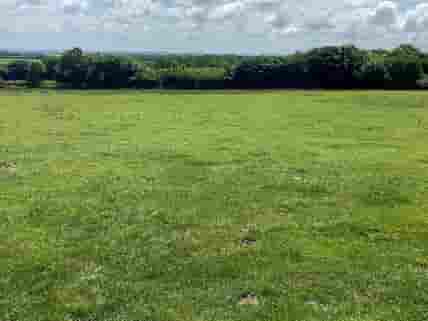 Grassy pitches at Ossington Farm Camping