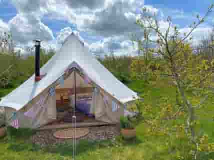 Strawberry bell tent