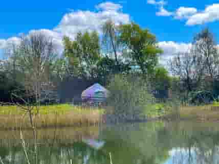 Brown Trout Bell Tent