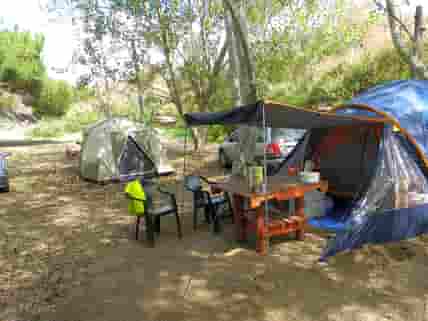 Unlimited camping pitches under the shade of trees (added by manager 04 Jul 2016)
