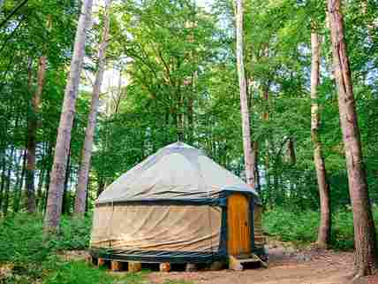 Badger's Yurt