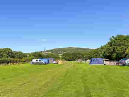 Pitches on site
