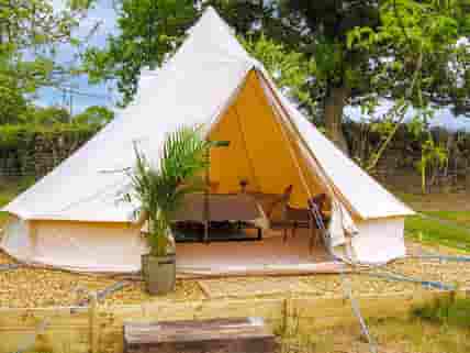 Relax in our bell tents surrounded by beautiful cider orchards