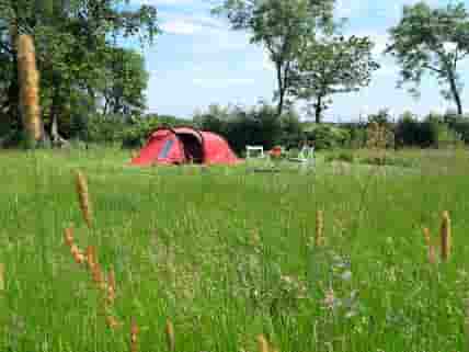 Tent pitch on the meadow
