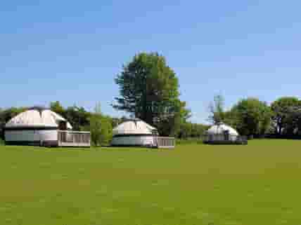 The yurts (added by manager 28 May 2017)