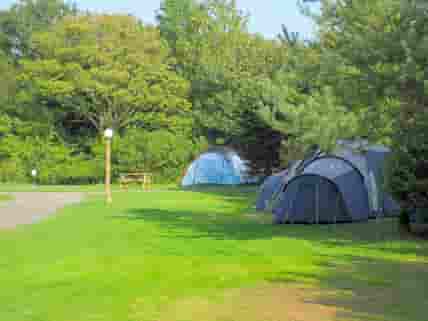 Well-spaced camping pitches (added by manager 12 Jun 2014)