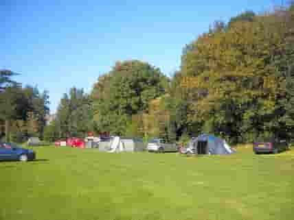 Good-sized camping pitches