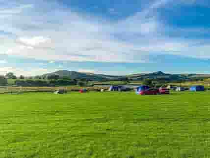 Grass pitches