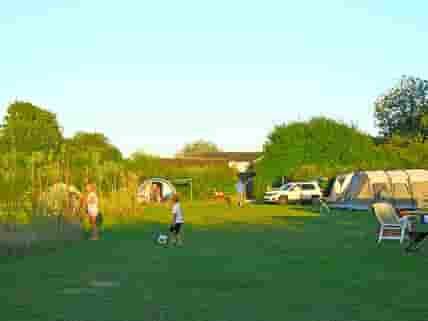 Enjoying the evening sunshine - view across the site towards the shower block and facilities