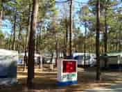 Camping area under the shade of trees (added by manager 21 Apr 2015)