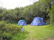 XL secluded grass tent pitch (added by manager 13 Oct 2023)