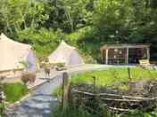 Foxglove Bell tents (added by manager 03 Apr 2024)