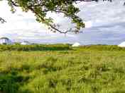 Gorgeous yurts on site (added by manager 15 Aug 2023)