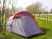A tent set up in the orchard (added by manager 13 May 2023)