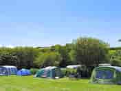 camping pitches (added by manager 07 Jul 2022)