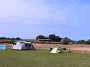 Tent field (added by manager 05 Sep 2022)
