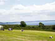 Well-kept pitches with sea views (added by manager 24 Jun 2014)