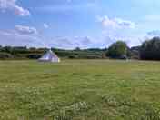 The paddock tent camping at Spring Hill Farm (added by manager 20 Jun 2023)