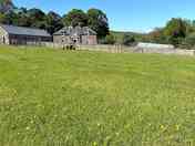 The Paddock is our brand new pitch, surrounded by alpacas, horses, and sheep (added by manager 17 Nov 2023)
